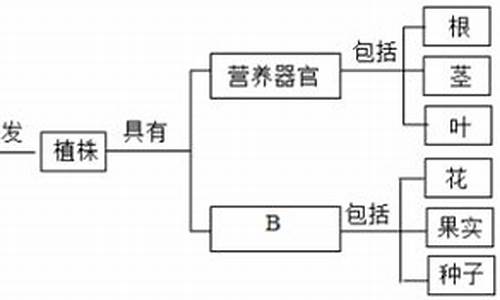 根据所学知识设计纺织品(纺织品设计的要素有哪些)