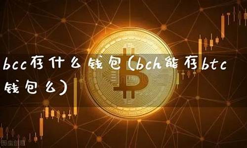 什么钱包能存比特币(存比特币的钱包)