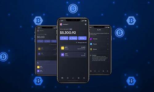 btc钱包程序流程(btc wallet 钱包)