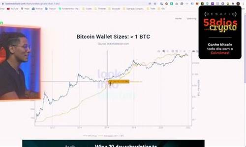 btcs测试网钱包(testc币)