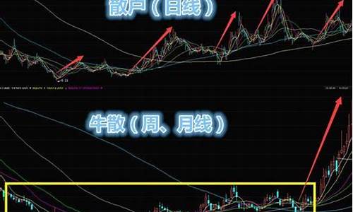 投资数字货币的长线价值是什么(图1)