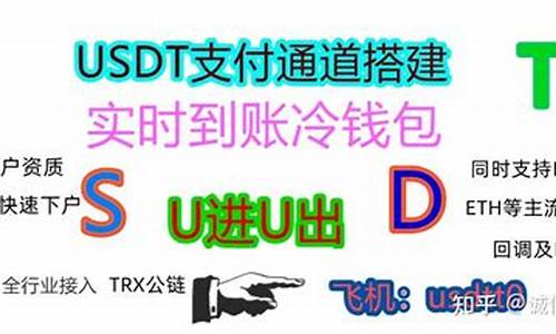 usdt钱包转到eth钱包怎么办(usdt转入钱包)(图1)